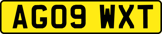 AG09WXT