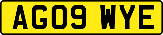 AG09WYE