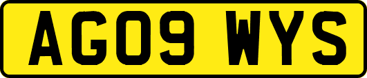 AG09WYS
