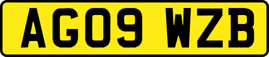 AG09WZB