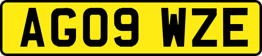 AG09WZE