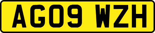 AG09WZH