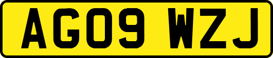 AG09WZJ