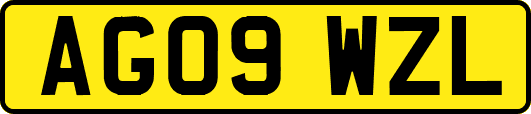 AG09WZL