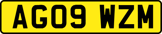 AG09WZM