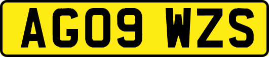 AG09WZS