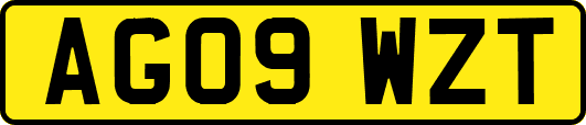 AG09WZT