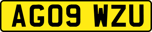 AG09WZU