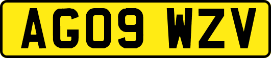 AG09WZV