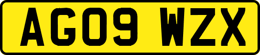 AG09WZX