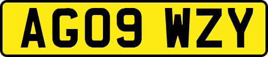 AG09WZY