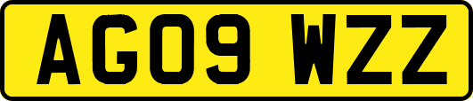 AG09WZZ