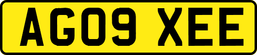 AG09XEE