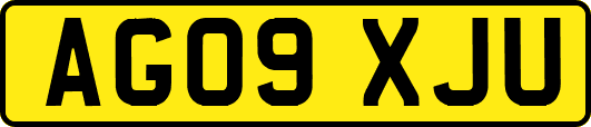 AG09XJU