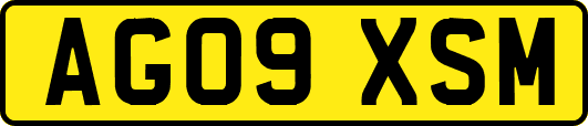 AG09XSM