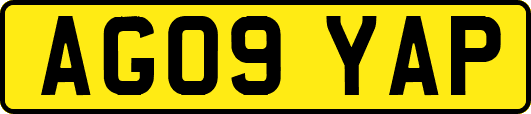 AG09YAP