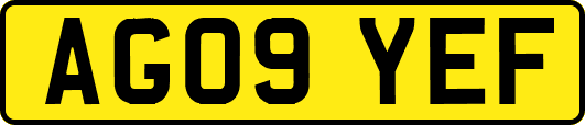 AG09YEF