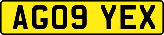 AG09YEX