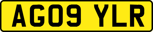 AG09YLR