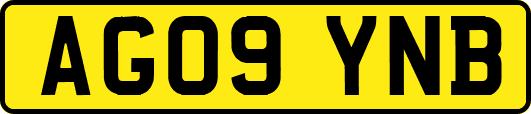 AG09YNB