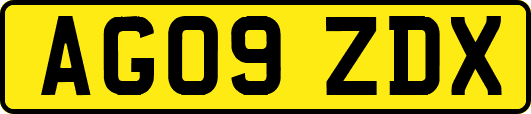 AG09ZDX