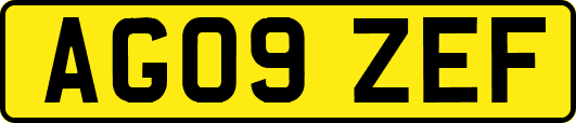 AG09ZEF