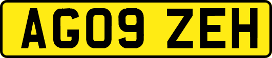 AG09ZEH