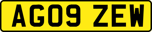 AG09ZEW