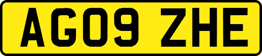 AG09ZHE