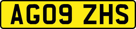 AG09ZHS