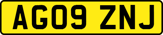 AG09ZNJ