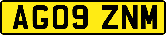 AG09ZNM