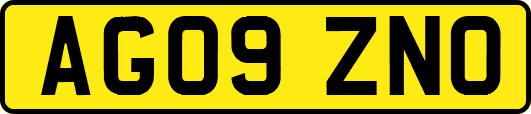 AG09ZNO