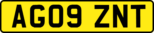 AG09ZNT