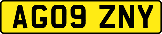 AG09ZNY