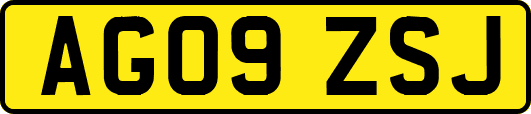 AG09ZSJ