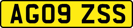 AG09ZSS