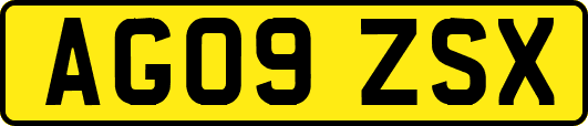 AG09ZSX