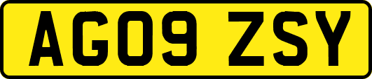 AG09ZSY
