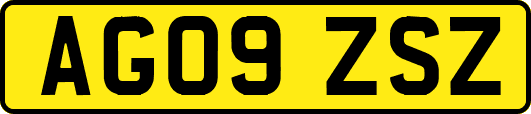 AG09ZSZ