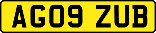 AG09ZUB