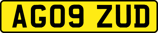 AG09ZUD