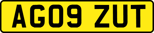 AG09ZUT