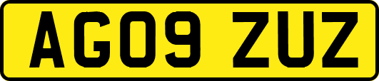 AG09ZUZ