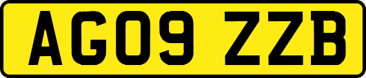 AG09ZZB