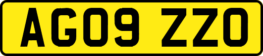AG09ZZO