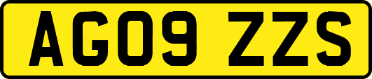 AG09ZZS