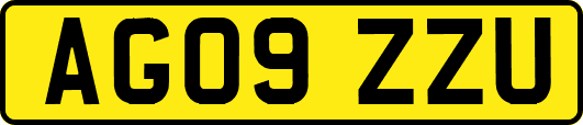AG09ZZU