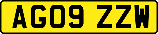 AG09ZZW
