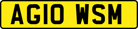AG10WSM
